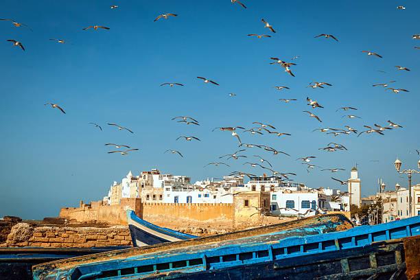 Excursion en calèche et visite de la Galerie d'Art Damgaard Essaouira